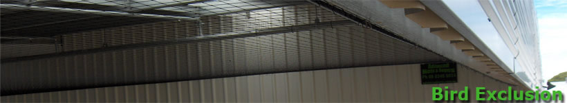 bird net, bird netting, anti bird, bird exclusion, bird nesting, bird control, pigeon control, bird pest control, bird exclusion